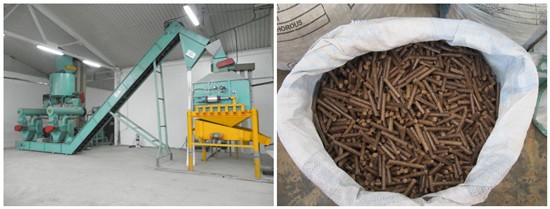 High quality wood pellets